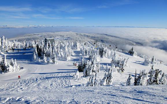 Bestes Skigebiet im Thompson-Nicola Regional District – Testbericht Sun Peaks