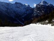 Gute Präparierung am Zwölferkopf