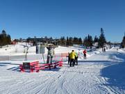 H4 Illern - Tellerlift