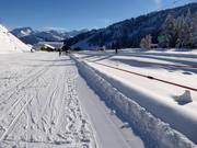 Kindergartenlift Marend - Seillift/Babylift mit niederer Seilführung