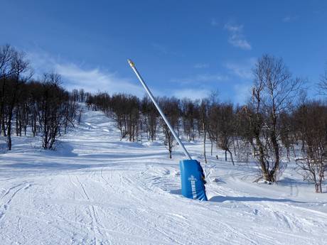 Schneesicherheit Skandinavien – Schneesicherheit Tänndalen