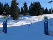 Adler7 Station Söllereck: Eagle Eye Run - Slalomparcours