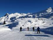 Leichte Riedkopf Umfahrung