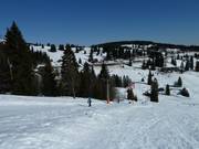 Zeller II - Schlepplift mit T-Bügel/Anker