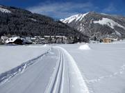 Loipe in Donnersbachwald