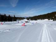 Tipp für die Kleinen  - Kinderbereich Gaia