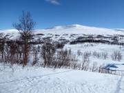 Blick zum Storkittelhobben, dem höchsten Punkt im Skigebiet Hemavan
