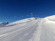 Abfahrt Riedkopf "Direkte"