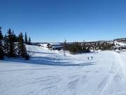 Leichte Piste Bruløypa