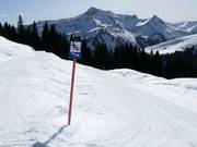Tipp für die Kleinen  - Naturrodelbahn Damüls