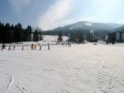 Übungsgelände im Tal am Bach Starlift