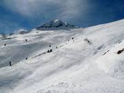 Unendliche Tiefschneehänge