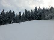 Oberer Teil der Piste am Wanklift II