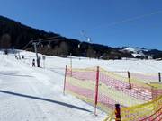 Maxilift - Tellerlift