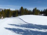 Loipe im Big Sky Resort