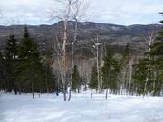 Ausgeholzte Waldabfahrt Le Nid-d'Aigle