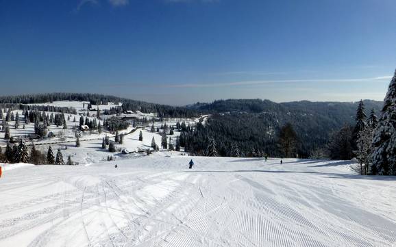 Skifahren im Südschwarzwald
