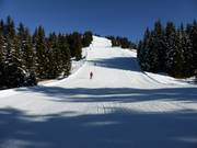 Panorama-Abfahrt Nr. 1