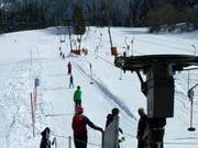 Faschinglift I - Schlepplift mit T-Bügel/Anker