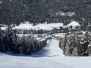 Ober Teil der Abfahrt Showoff