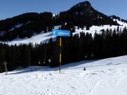 Wegweiser nach Schönried