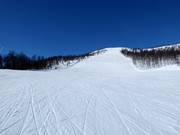 Schwere Piste Ølkorken Nr. 11 (Gullsteinhovda)