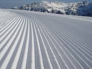 Frische Rillen im Schnee