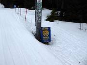 Mülleimer an einer Liftstütze