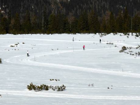 Langlauf Zillertal – Langlauf Zillertal Arena – Zell am Ziller/Gerlos/Königsleiten/Hochkrimml