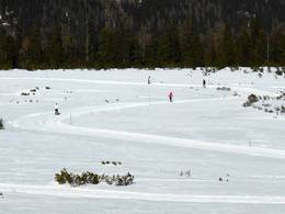 Zillertal Arena – Zell am Ziller/Gerlos/Königsleiten/Hochkrimml