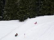 Rodelbahn Rinerhorn
