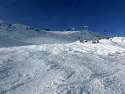 Buckelpiste an der Grubigbahn II