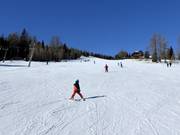 Leichte Pisten am Zirbenlift 2