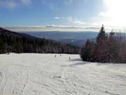 Leichte Hochwaldabfahrt im oberen Bereich