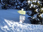 Mörsbachalm – Freies Skigelände