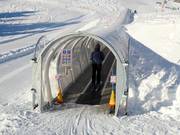 Förderbänder Pardiel - Förderband/Zauberteppich mit Überdachung