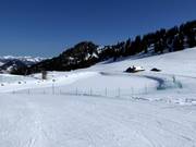 Speicherteich am Hornberg