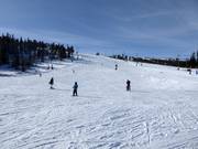 Leichte und breite Piste Familjebacken in Hundfjället