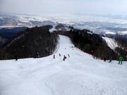 Buckelpiste Ladies Downhill