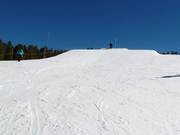 Trygve´s Terrain Park