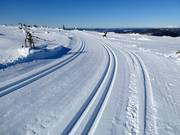 Loipe Toppspåret am Gipfel