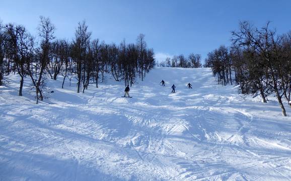Skigebiete für Könner und Freeriding Funäsfjällen – Könner, Freerider Tänndalen