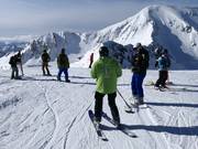 Hilfsbereite Gästebetreuer