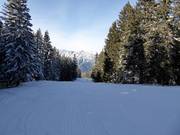 Leichte Piste Seehof