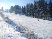 Top gepflegt – der obere Hang