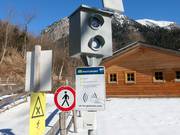 Adler7: Der längste Flug - Fotofinish im Ziel