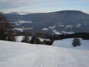 sehr gute Präparierung