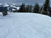 Auf der Wastlhöhe gibt es flache Pisten