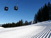 Sehr gute Pistenpräparierung am Söllereck