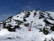 Steinkogel - Schlepplift mit T-Bügel/Anker